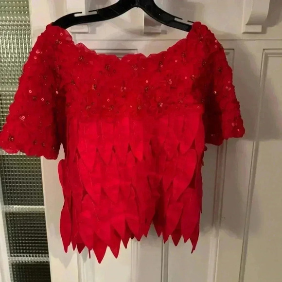 Vintage Red Embellished Intricate Neckline Short Sleeve Blouse Size 10 - Picture 3 of 14